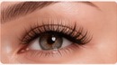 Eyelash result