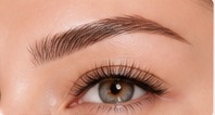 Microblading brow service
